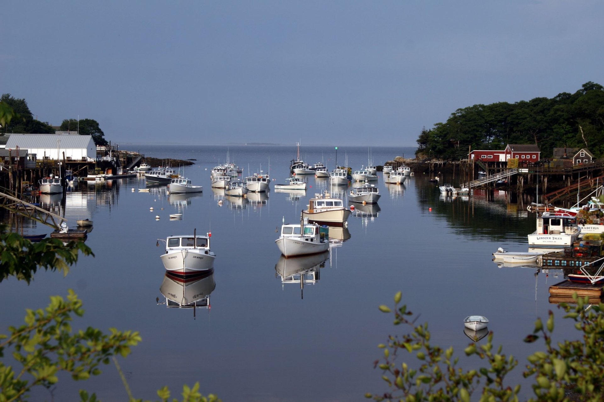 Lobster boats moored in the harbor